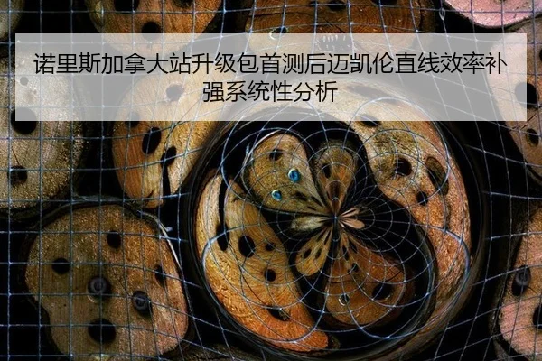 诺里斯加拿大站升级包首测后迈凯伦直线效率补强系统性分析