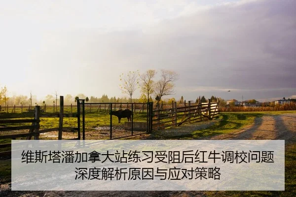 wei-si-ta-pan-jia-na-da-zhan-lian-xi-shou-zu-hou-hong-niu-diao-xiao-wen-ti-shen-du-jie-xi-yuan-yin-yu-ying-dui-ce-lve-2-256.jpg