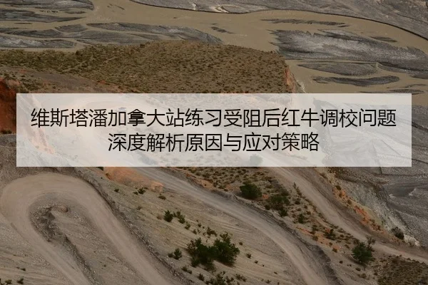 维斯塔潘加拿大站练习受阻后红牛调校问题深度解析原因与应对策略